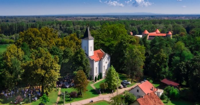 ž