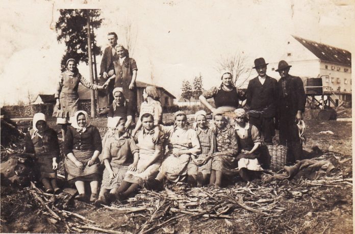 72099721_2365119770371437_6821150597174001664_n