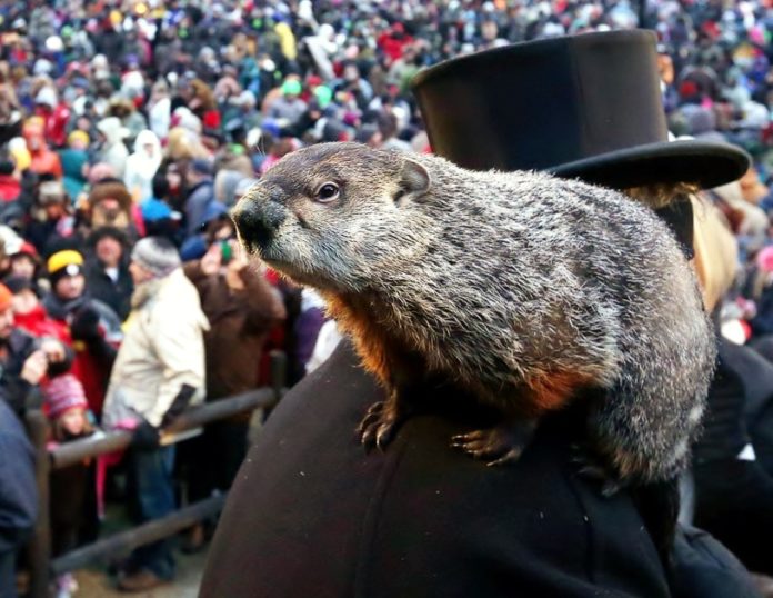 Groundhog-day-facts-01_76030_990x742_168_588f79b30321