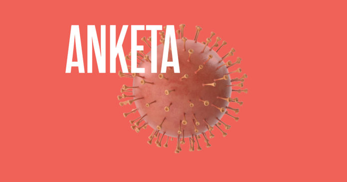 anketa