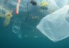 Posljedice korištenja plastike za jednokratnu upotrebu