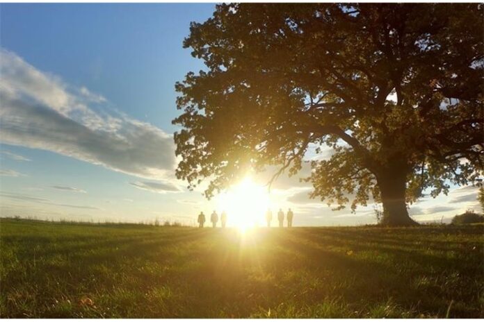 video spot - naslovna