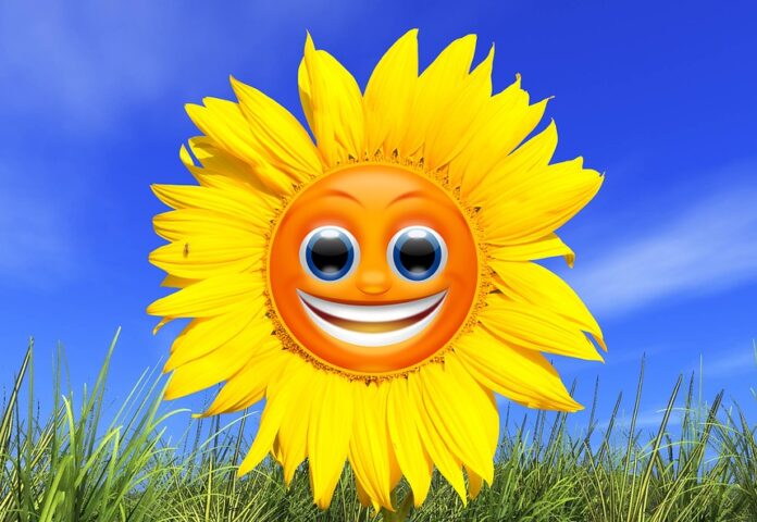 sunflower-1155149_960_720