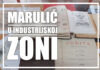 Projekt industrijsko-obrtničke škole u Sisku: Marulić u industrijskoj zoni