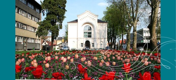 560161_310145335717462_542019513_n